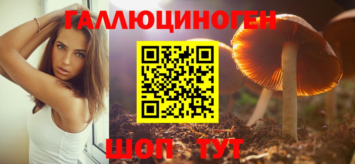 Красноуфимск  Псилоцибиновые грибы мухоморы  Псилоцибиновые грибы мицелий  Вход с VPN 
